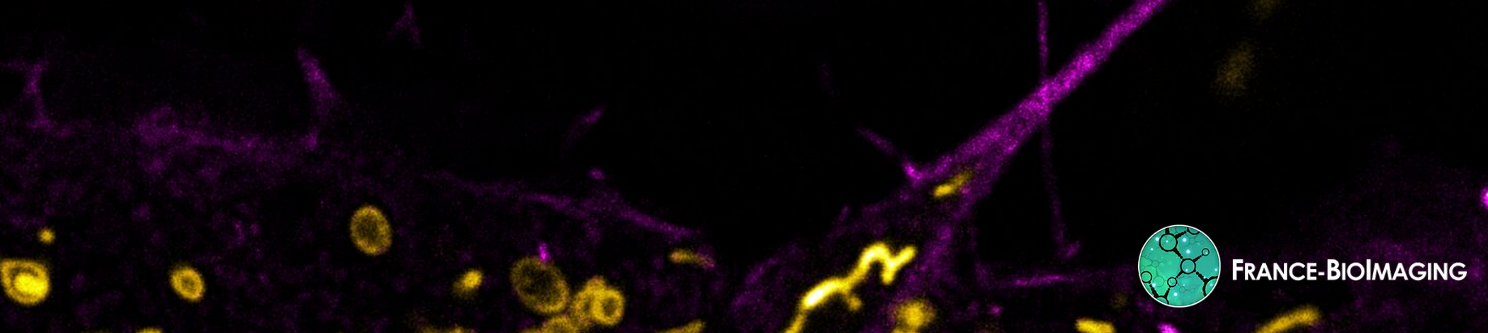 France-BioImaging