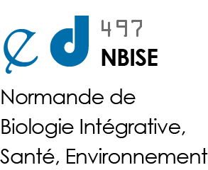 logo école doctorale Nbise