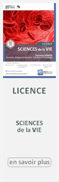 Licence SV