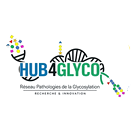GDR CNRS Hub4Glyco