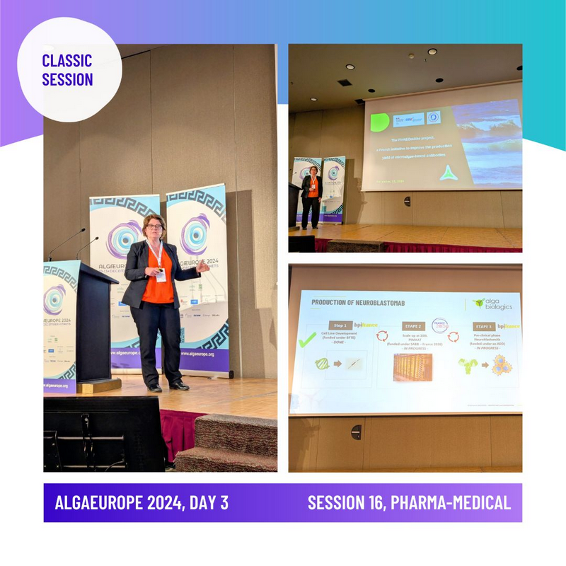 AlgaEurope 2024 - Muriel Bardor