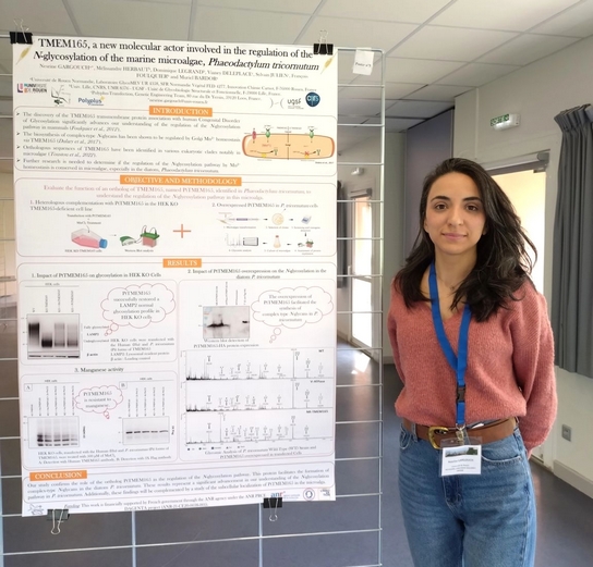 Poster du Dr Nesrine Gargouch