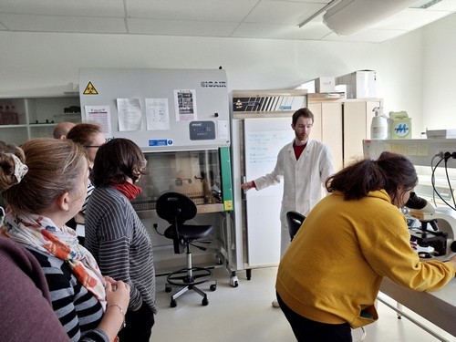 visite avec Vincent Lemaître