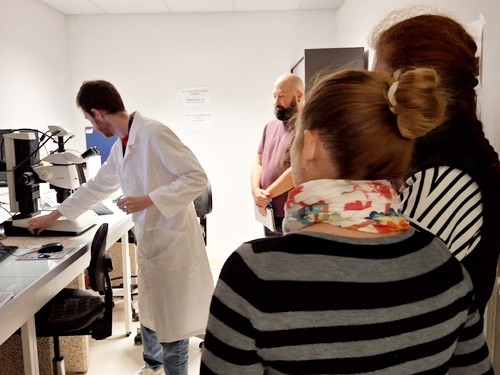 microscopie avec Vincent Lemaître microscopie avec Vincent Lemaître