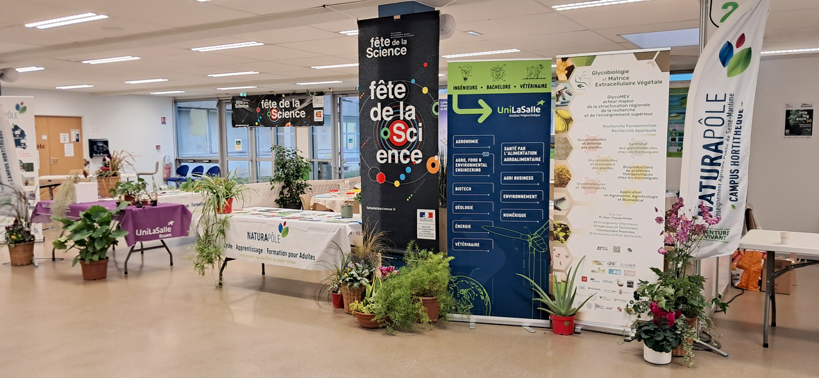 UFR Sciences & Techniques - Campus Madrillet UFR Sciences & Techniques - Campus Madrillet