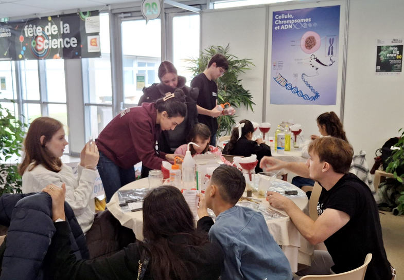 au centre, Dr Nesrine Gargouch au centre, Dr Nesrine Gargouch