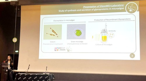 conférence de Nesrine Gargouch