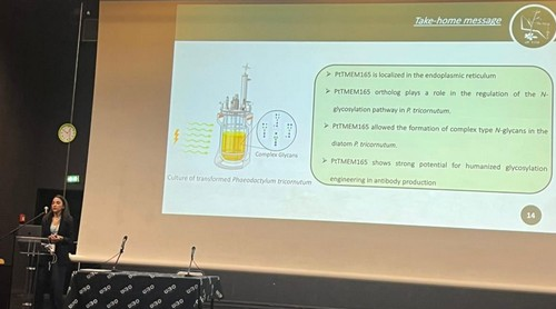 conférence de Nesrine Gargouch