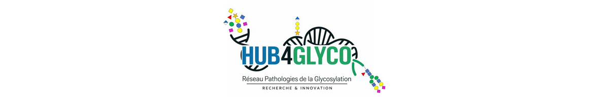 HUB4GLYCO