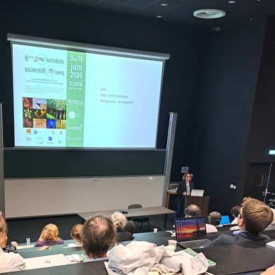 Rachel MARION-LETELLIER, Vice-Présidente CFVU Université de Rouen Normandie