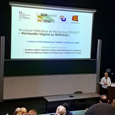 présentation de la SFR NorVege par Azeddine DRIOUICH (GlycoMEV)