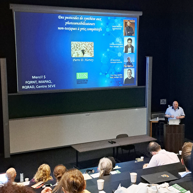 Pierre HARVEY (Université de Sherbooke, Canada)
