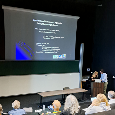 Sabine CARPIN (INRAe Université d'Orléans)