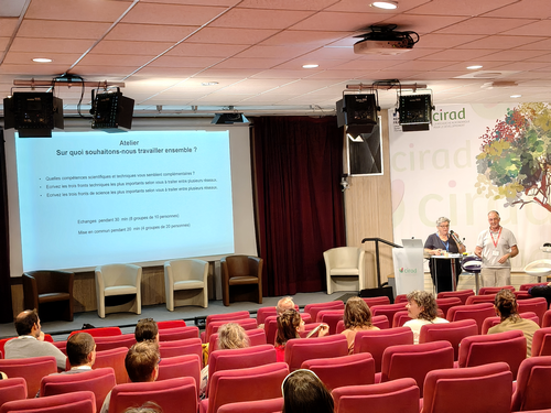Agnès ATTARD et Philippe NACRY