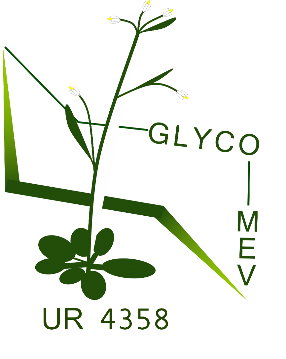 logo GlycoMEV