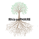 INRAe RhizosPHARE