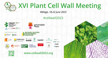 écran Cell Wall Meeting 2023