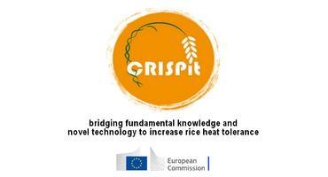 CRISPit : visite du Pr Lucia COLOMBO et du Pr Martin KATER