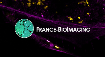 France-BioImaging