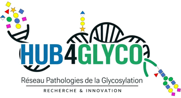 HUB4GLYCO logo