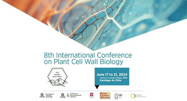 Plant Cell Wall Biology 2024