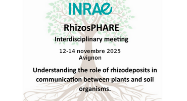 RhizosPHARE