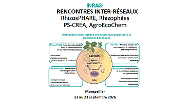 RhizosPHARE 2026