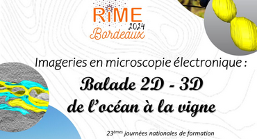 RIME 2024 à Bordeaux